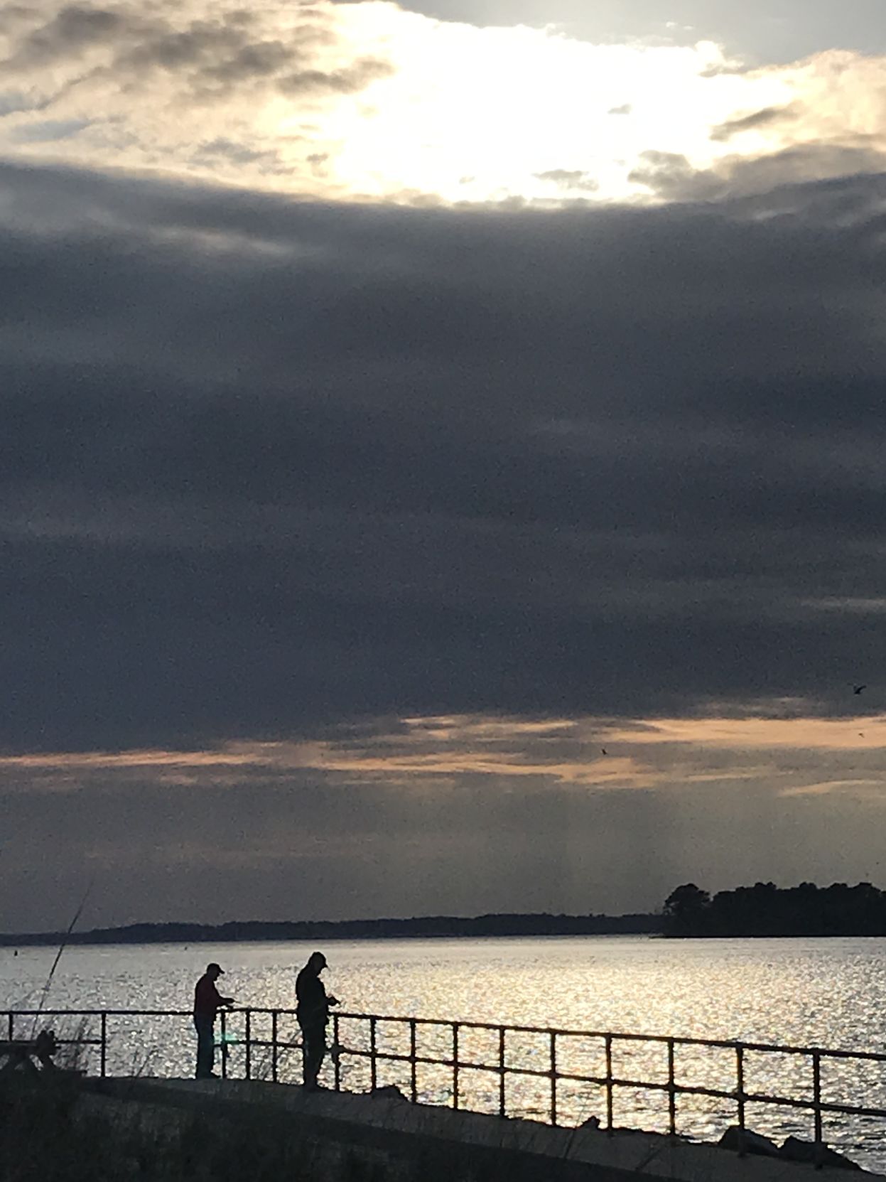 DSSP fishing